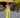 Combinaison VOLARE vert
