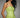 Robe GREEN Poésie FARMRIO LUXE