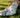 Robe COAST STAR- FARM RIO LUXE