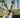 Robe COAST STAR- FARM RIO LUXE