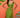Robe GARDEN FARMRIO LUX