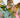 Robe Maxi TROPICAL PAINTING