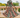 Robe Plume Enchantée FARM RIO Luxe