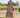 Robe Plume Enchantée FARM RIO Luxe