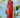 Robe PARADISE BIRD