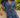 Short Blue broderie