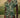Robe Plume Enchantée FARM RIO Luxe